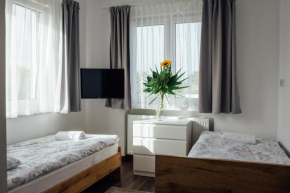 Motelik Janowski, Gmina Szprotawa